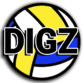 Digz Volleyball